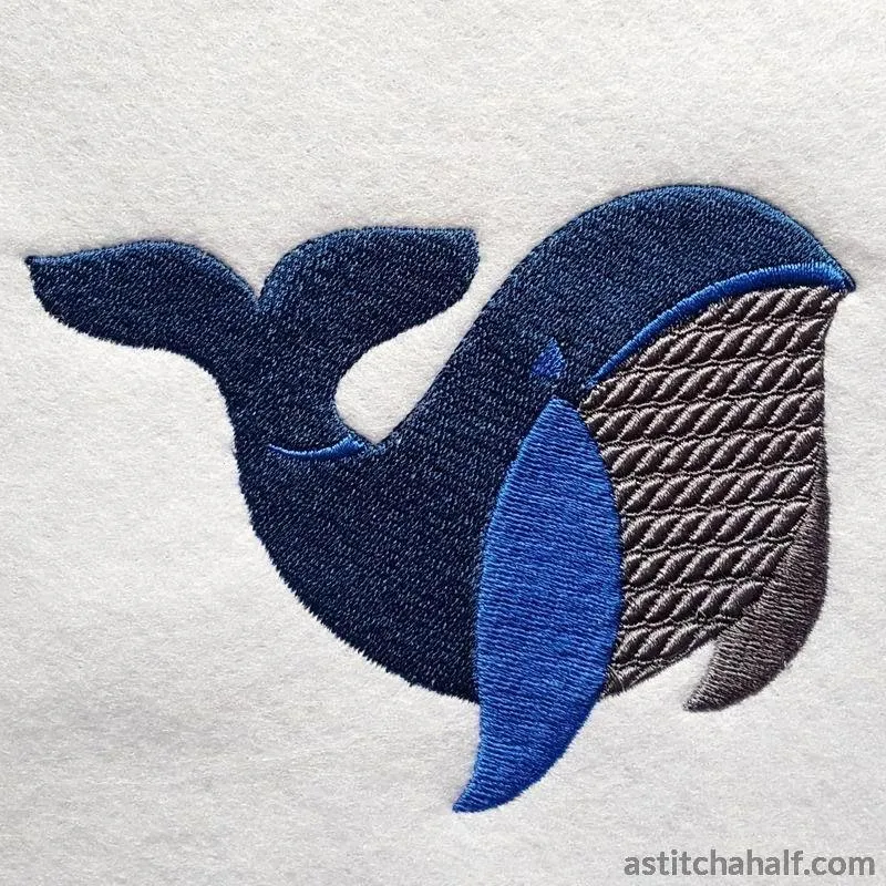 Baby Whale